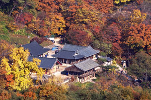 안동 봉정사, 영주 부석사가 유네스코 세계유산이 될 수 있을 것으로 보인다. 등재 작업을 위한 움직임이 시작된 것. 사진은 안동 봉정사.