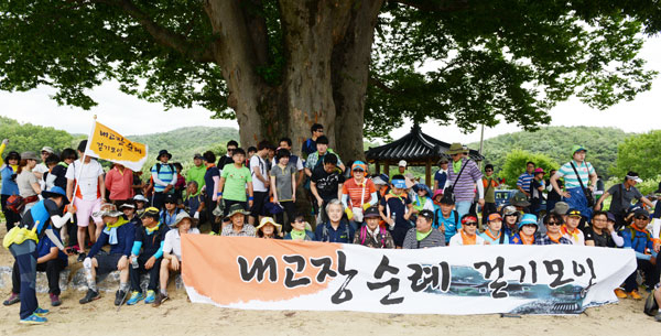 내 고장 순례 걷기모임에 참여한 젊은이들이 순례 중에 만난 600년 수령의 느티나무 아래서 기념사진을 촬영했다. 내 고장 순례 걷기모임 제공