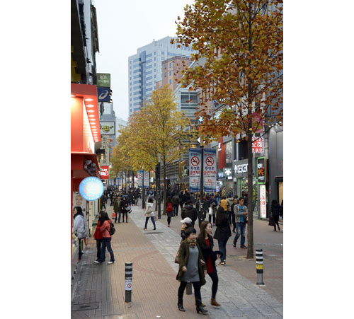 공공디자인사업은 동성로에 대구읍성 성벽 높이의 가로등을 설치하고 가로수를 심어 친환경적인 분위기를 만들었다.
