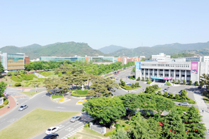 대구가톨릭대는 이번 수시 모집에서 최저학력기준을 완화하고, 학생부 종합전형을 확대했다. 대구가톨릭대 제공