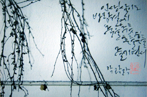 황정숙 작-락락락