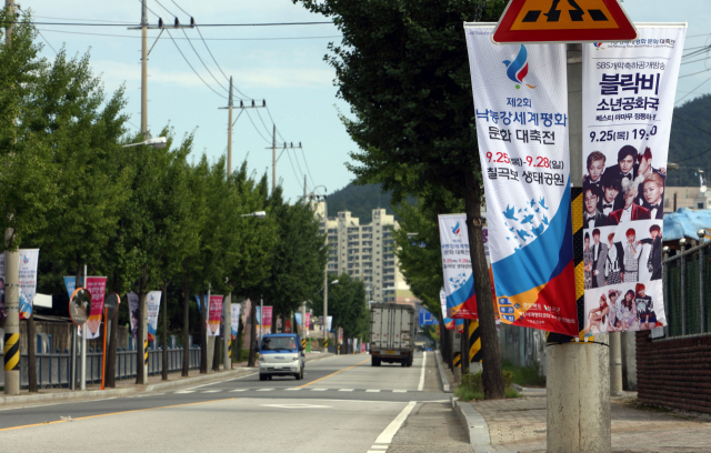 칠곡군 내 도로마다 제2회 낙동강세계평화 문화 대축전을 알리는 가로기가 게양되면서 대축전 분위기가 달아오르고 있다. 28일 군청길 양쪽에 게시된 대축전 가로기가 바람에 펄럭이고 있다. 이영욱 기자