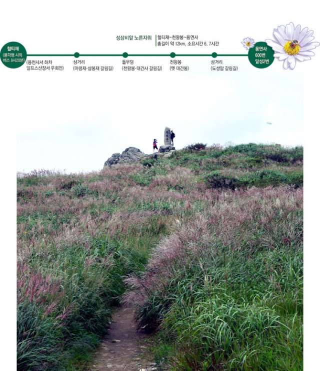 비슬산 정상엔 
