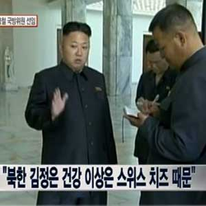 김정은 최고인민회의 불참 사진. 뉴스와이 캡처