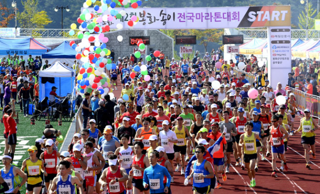송이의 고장 경북 봉화군이 마라톤 열기로 가득 찼다. 매일신문사와 봉화군이 주최한 