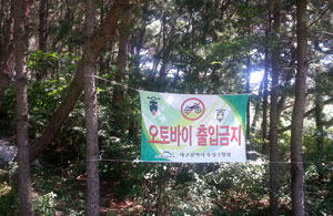 대구 수성구 진밭골 등산로에는 