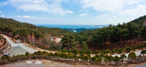 칠보산휴양림