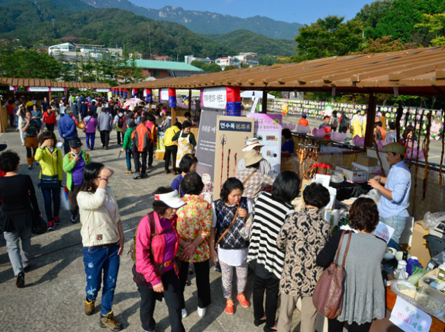 2일 대구 팔공산 승시축제를 찾은 시민들이 팔공산 씨네80 자동차극장에 차려진 장터를 둘러보며 불교용품과 지역특산품 등을 구경하고 있다. 우태욱 기자 woo@msnet.co.kr