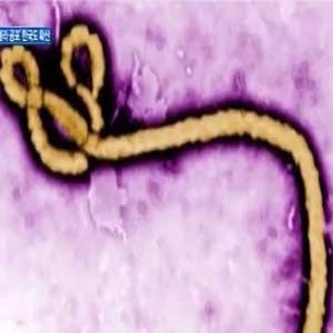 부산 에볼라 공포 확산 사진. YTN 뉴스캡처