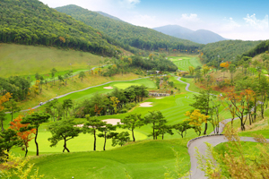 오션힐스 청도GC는 숲, 계곡, 그린 등의 조화로 아름다운 풍경을 연출산다. 청도GC 제공