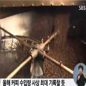 커피 수입량 사상 최대 사진. SBS 뉴스캡처