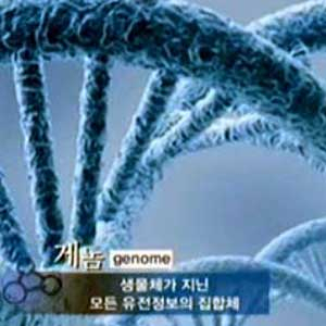 4만 5천 년 전 게놈 복원 사진. 방송캡처