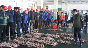 4일 오전 9시 포항 구룡포수협 위판장에서 대게 경매가 이뤄지고 있다. 새벽에 경매가 이뤄지는 다른 어종들과 달리, 대게는 너무 추우면 다리가 떨어지는 등 상품 질이 낮아져 다소 늦은 시간에 경매가 진행된다. 신동우 기자