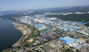 한