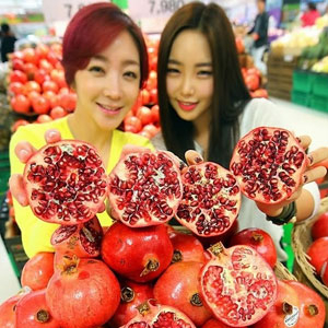 사진.연합뉴스