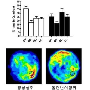 미래창조과학부 제공
