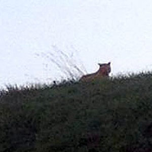 사진.AP/연합뉴스