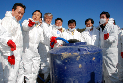 안동시가 구제역 발생 4년 만에 구제역 가축 매몰지인 500여 곳에 이르는 가축무덤의 생태를 완전 복구해 자연상태로 되돌려 놓았다. 구제역 발생 당시 조성된 가축무덤. 침출수 발생 시연 모습. 엄재진 기자