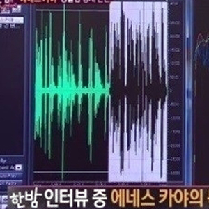 에네스 카야 공식입장 사진. SBS 한밤 캡처