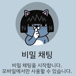 카카오톡 비밀 채팅 모드 사진. 다음카카오