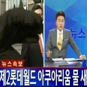 제2롯데월드 아쿠아리움 사진. YTN 뉴스캡처
