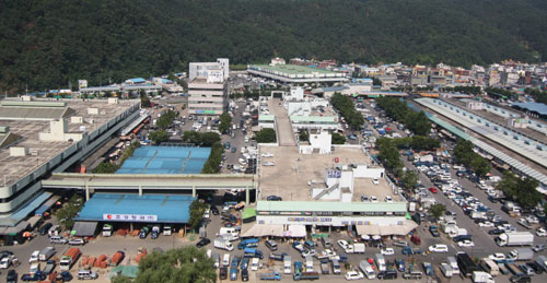 대구시는 올해 대구시농수산물도매시장 시설 현대화(이전), 치맥페스티벌 및 도시농업 활성화를 적극 추진한다. 사진은 북구 매천동 농수산물도매시장.