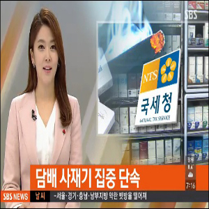 사진, SBS뉴스 캡처