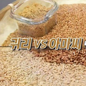 귀리 효능 사진. MBC 방송캡처