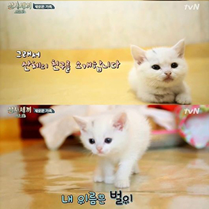 사진 tvN 예능프로그램 