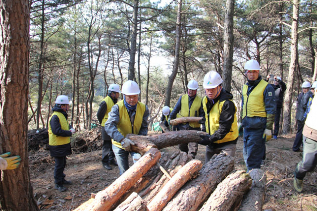이석형 산림조합중앙회장 등 산림조합 관계자들이 14일 포항지역 소나무재선충 방제 현장을 둘러보며 작업 추진 현황 및 안전관리 실태 등을 점검하고 있다. 산림조합 제공