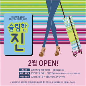 사진, 진에어