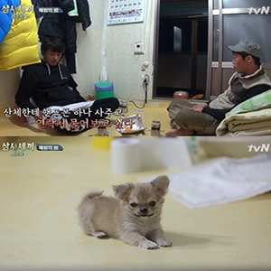 사진, tvN 
