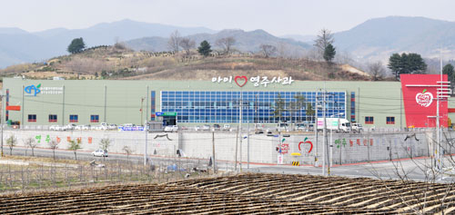 영주농산물유통센터 전경. 영주시 제공