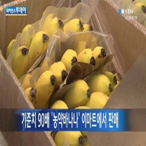 사진 YTN 캡처