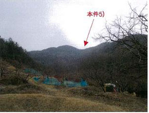 청도읍 임야