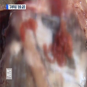 사진, KBS 뉴스 캡처