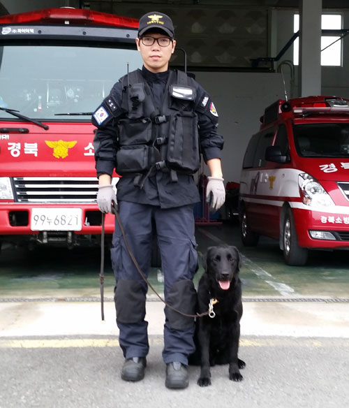 인명구조현장에서 맹활약 중인 