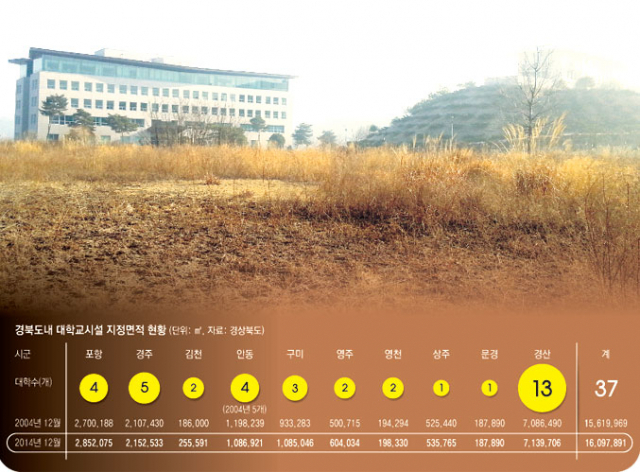 학령인구 감소로 대학 공동화가 우려되고 있다. 김해로 캠퍼스를 이전한 고령 가야대 건물. 고령은 이 대학의 김해 이전으로 큰 어려움을 겪고 있다.