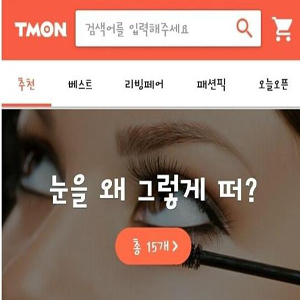 사진, 소셜커머스 