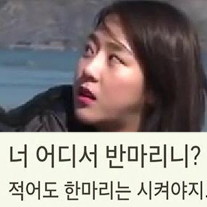 이태임 예원 패러디 사진. 온라인 커뮤니티