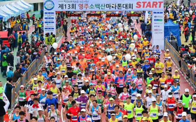 지난 5일 열린 제13회 영주 소백산 마라톤대회. 영주시와 매일신문사가 주최한 이날 대회는 5㎞, 10㎞, 하프, 풀코스 등에 선수와 자원봉사자, 가족 등 9천180여 명이 참여해 대회사상 최고의 참가기록을 세우며 성황리에 열렸다. 정운철 기자 woon@msnet.co.kr