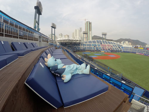 NC 다이노스가 선수들이 직접 앉던 버스 의자로 만든 좌석, 누워서 경기를 관람하는 좌석, 더그아웃 바로 옆 소파 좌석 등 마산 홈구장에 파격적인 관중석을 만들었다고 13일 밝혔다. 