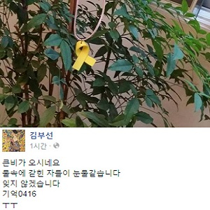 김부선, 세월호 참사 1주기 추모 노란리본 게시