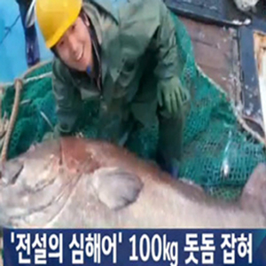 전설의 심해어 돗돔 사진. JTBC 방송캡처