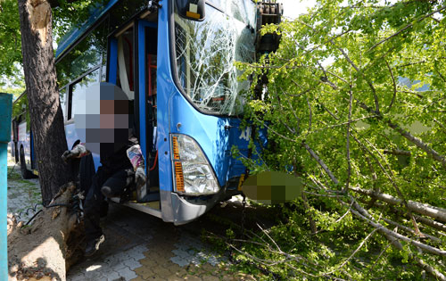 26일 오전 대구 북구 침산동을 지나던 시내버스가 중앙선을 넘어 건너편 인도로 돌진해 가로수와 담벼락을 들이받았다. 버스기사 A(59) 씨는 경찰조사 결과 혈중 알코올 농도가 0.048%로 측정됐다. 김영진 기자 kyjmaeil@msnet.co.kr