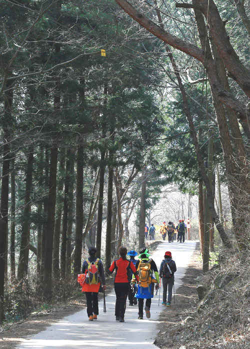 고은의 시비에서 대원사로 오르는 아름다운 숲길.