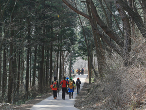 고은의 시비에서 대원사로 오르는 아름다운 숲길.