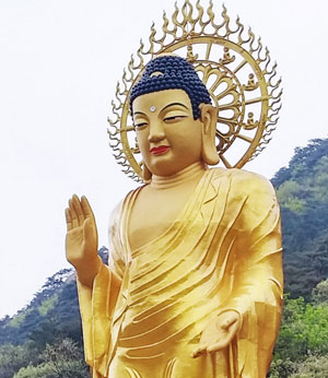 속리산 법주사의 상징인 미륵대불이 최근 전신에 금박을 입히는 개금불사를 마무리 짓고 황금빛 모습을 드러냈다. 연합뉴스