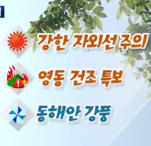 부부의 날 오늘 소만 날씨 미세먼지 농도 보통