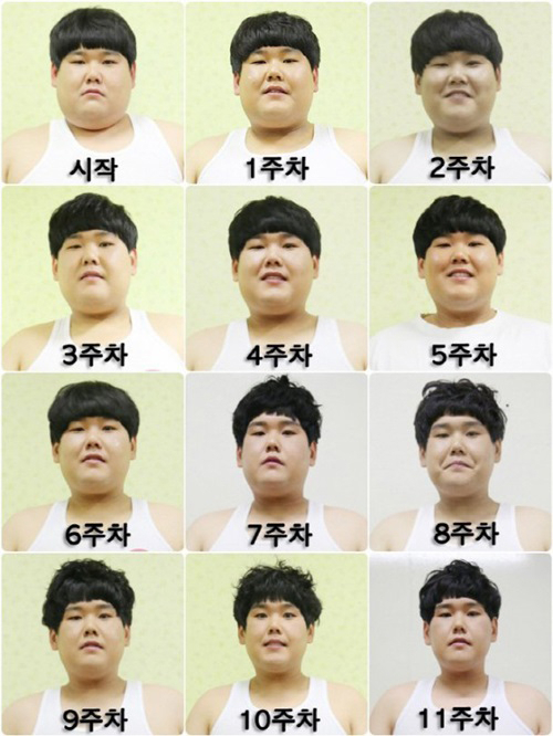 사진. 블리스미디어